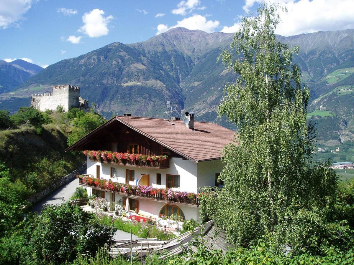 Schlosshof Zu Montani Morter Exterior foto