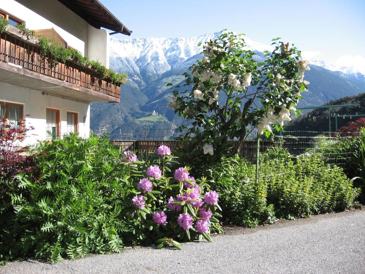 Schlosshof Zu Montani Morter Exterior foto
